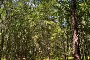 1508 Liberty Expressway SE, Albany, GA 31705 - Photo 53