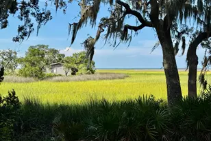 1924 Cedar Ct, Waverly, GA 31565 - Photo 73