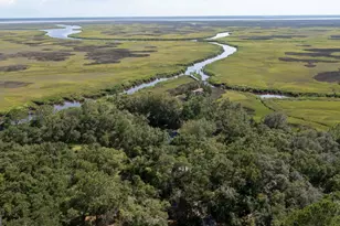 1924 Cedar Ct, Waverly, GA 31565 - Photo 3