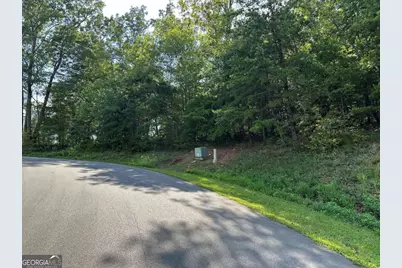 257 Andes Ridge, Ellijay, GA 30536 - Photo 9