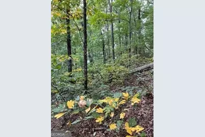 257 Andes Ridge, Ellijay, GA 30536 - Photo 19