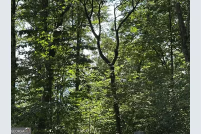 257 Andes Ridge, Ellijay, GA 30536 - Photo 11