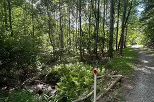 0 E Two Pond Ln, Hayesville, NC 28904 - Photo 1