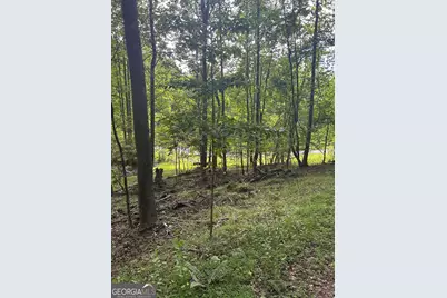 0 E Two Pond Lane, Hayesville, NC 28904 - Photo 7