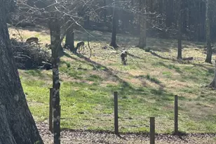 5111 Greensboro Rd, Washington, GA 30673 - Photo 65