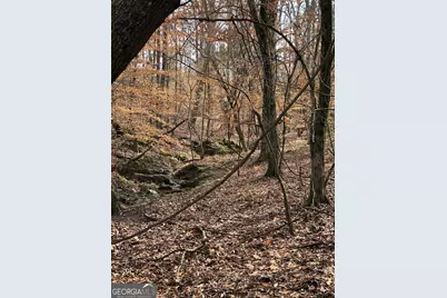 5111 Greensboro Road, Washington, GA 30673 - Photo 67