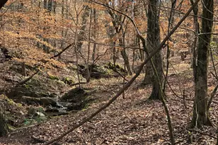 5111 Greensboro Rd, Washington, GA 30673 - Photo 67