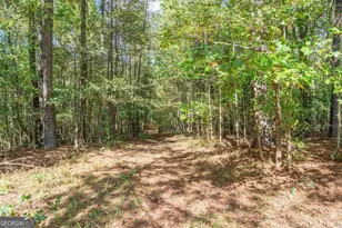 5111 Greensboro Rd, Washington, GA 30673 - Photo 75