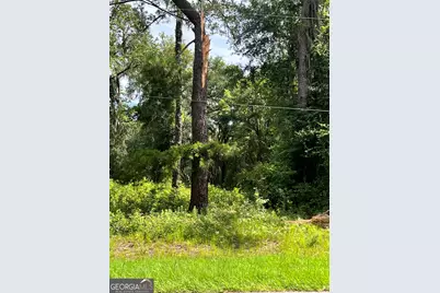 0 Sandy Run Road, Riceboro, GA 31323 - Photo 3