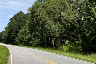 0 Sandy Run Rd, Riceboro, GA 31323 - Photo 1