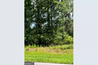 0 Sandy Run Road, Riceboro, GA 31323 - Photo 5