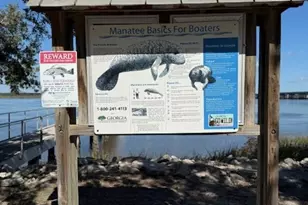 119 Brandenberry Rd, Brunswick, GA 31523 - Photo 35