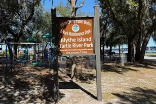 119 Brandenberry Rd, Brunswick, GA 31523 - Photo 33