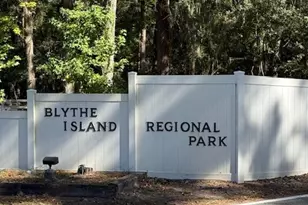 119 Brandenberry Rd, Brunswick, GA 31523 - Photo 41