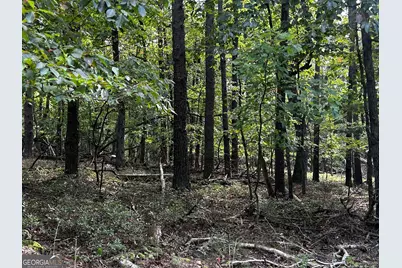 0 Elk Court, Jasper, GA 30143 - Photo 3