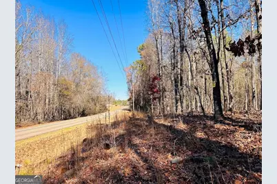 0 Rocky Mount Road, Luthersville, GA 30251 - Photo 1