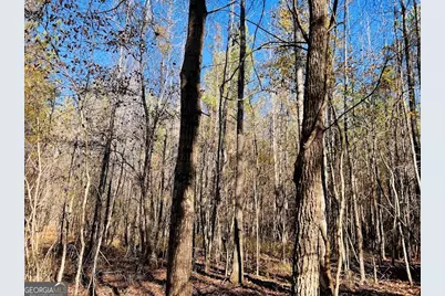 0 Rocky Mount Road, Luthersville, GA 30251 - Photo 3