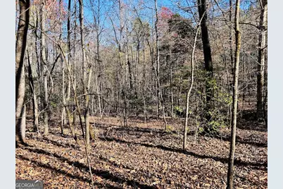 0 Rocky Mount Road, Luthersville, GA 30251 - Photo 5