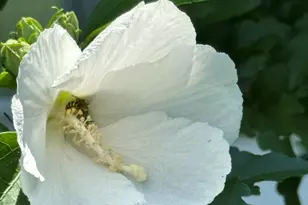 158 Merrybrook Rd, Williamson, GA 30292 - Photo 37