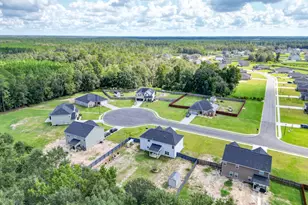 157 Halcyon Wy NE, Ludowici, GA 31316 - Photo 5