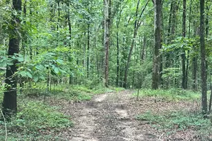 1383 Sims Rd SE, Winder, GA 30680 - Photo 3