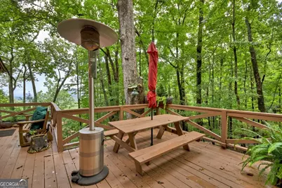 270 Walnut Mountain Road, Ellijay, GA 30536 - Photo 37