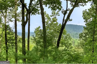 270 Walnut Mountain Road, Ellijay, GA 30536 - Photo 23