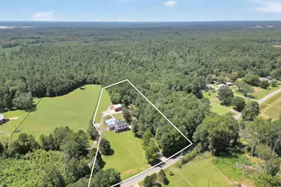 159 County Line Rd, Jenkinsburg, GA 30234 - Photo 3