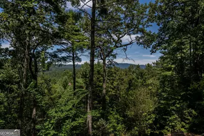 114 Boone Court, Ellijay, GA 30540 - Photo 63