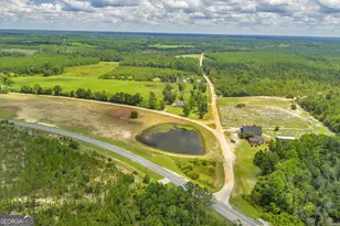 22 J L Price Rd, Kite, GA 31049 - Photo 45