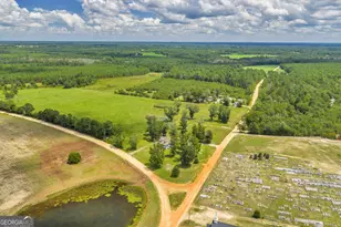 22 J L Price Rd, Kite, GA 31049 - Photo 41