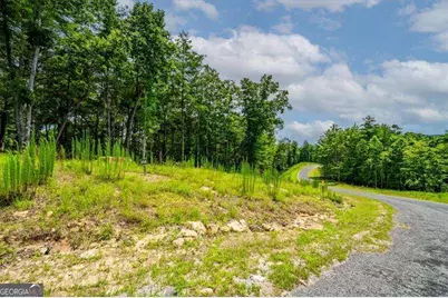 0 Ridge Drive LOT #64, Morganton, GA 30560 - Photo 3