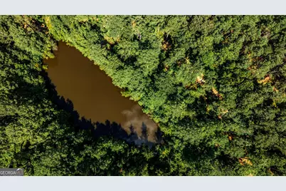 0 Felton McMichael Road, Monticello, GA 31064 - Photo 19