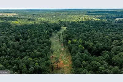 0 Felton McMichael Road, Monticello, GA 31064 - Photo 5