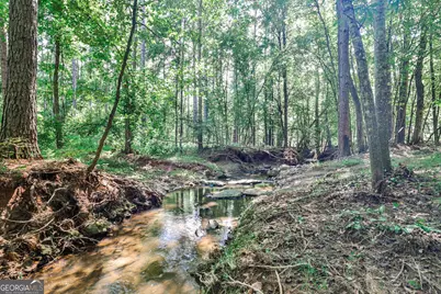 0 Felton McMichael Road, Monticello, GA 31064 - Photo 7