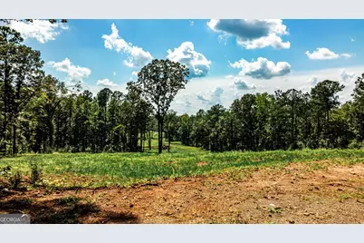 0 Felton McMichael Road, Monticello, GA 31064 - Photo 21