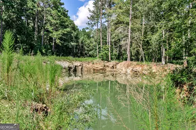 0 Felton McMichael Road, Monticello, GA 31064 - Photo 25