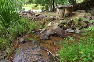 3360 Turniptown Rd, Ellijay, GA 30536 - Photo 13