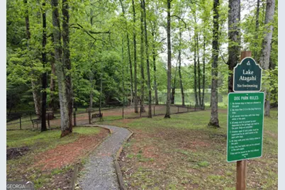 3360 Turniptown Road, Ellijay, GA 30536 - Photo 75