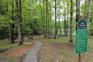 3360 Turniptown Rd, Ellijay, GA 30536 - Photo 75