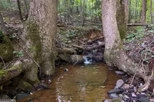 3360 Turniptown Rd, Ellijay, GA 30536 - Photo 15