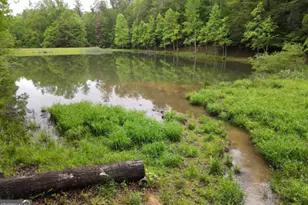 3360 Turniptown Rd, Ellijay, GA 30536 - Photo 79