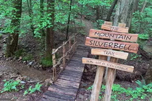 3360 Turniptown Rd, Ellijay, GA 30536 - Photo 81