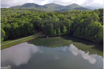 3360 Turniptown Road, Ellijay, GA 30536 - Photo 73