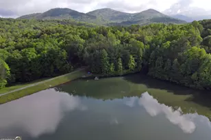 3360 Turniptown Rd, Ellijay, GA 30536 - Photo 73