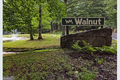 3360 Turniptown Road, Ellijay, GA 30536 - Photo 51