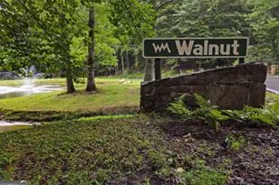 3360 Turniptown Rd, Ellijay, GA 30536 - Photo 51