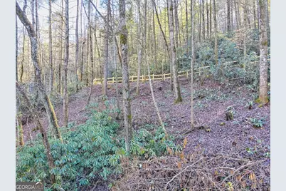 14 Big Shoals Road, Tiger, GA 30576 - Photo 15