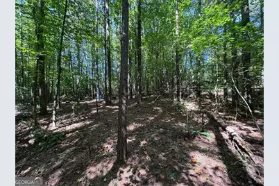 91 Hickory Creek Lane, Acworth, GA 30101 - Photo 9