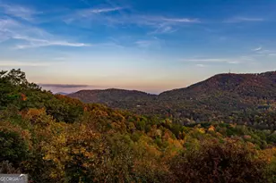215 Snake Nation Overlook, Blue Ridge, GA 30513 - Photo 73